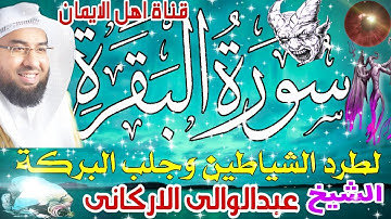 سورة البقرة كاملة مكررة لطرد الشياطين والجن الحسد العين السحر الشيخ عبدالوالى الاركانىsurat albaqara
