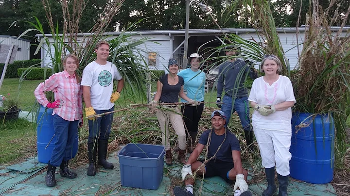 BioEnergy and Sustainability School Summer Interns...