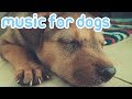 15 HOURS OF RELAXING DOG MUSIC! Reduce Anxiety and Help Dogs Sleep!