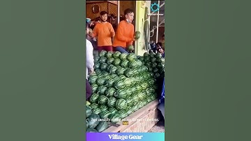 Watermelon Relay Race is INTENSE! 🍉 Don