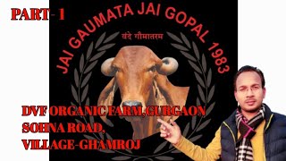 CHEAP & BEST ORGANIC VEGETABLES IN DELHI NCR-DVF ORGANIC FARM,GURGAON,SOHNA ROAD,PART-1