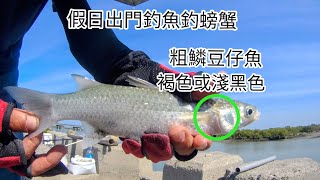 雙十國慶我出門釣螃蟹釣烏魚 大家別太期待我會大咬的！（381集）@Pin338548 阿平趴趴走