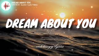 DREAM ABOUT YOU - STEVIE B. (Lyrics\/ Lyric Video)