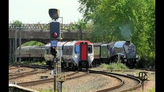 Oh NO!!! Bowled AGAIN??? 60007 Sir Nigel Gresley, Chester, 11th May 2024