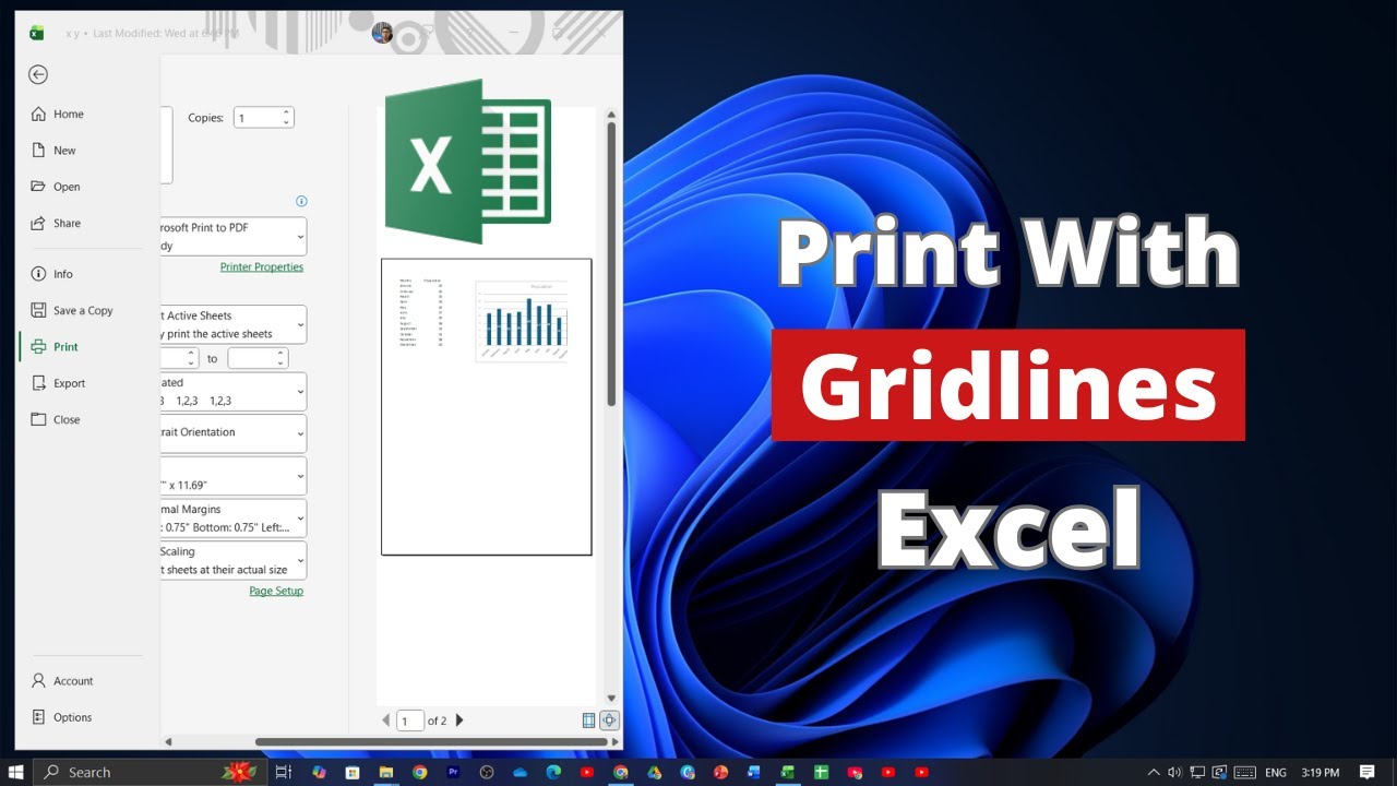 How to Print With Gridlines on Microsoft Excel - YouTube