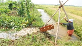 Irrigation Without Electricity in Vegetable farm.