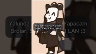 Soru Sorun Lan Ir Şfet