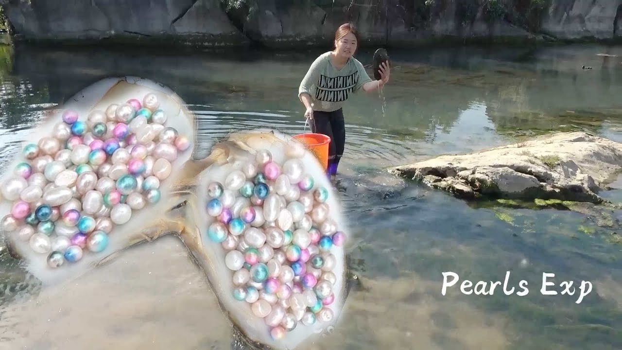 What a lucky day, I caught pearl mussels by the river and harvested a
