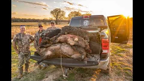 HOW TO DRESS A HOG IN 10 MINUTES OR LESS