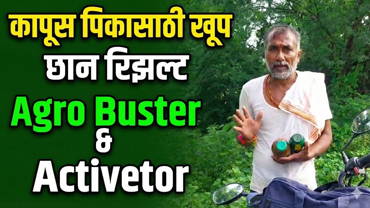 कापूस पिकाचे उत्पादन वाढवा | Cotton Farming IMC Product Result Live Demo