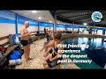 Freediving experience in the deepest pool in germany