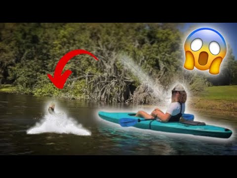 Kayak-Fishing for GIANT back-water bass!! (1v1 Kayak Challenge)