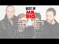 Best Of Mr Big