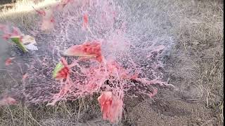 Slow motion watermelon explosion