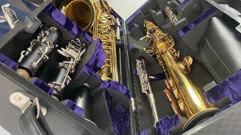Wiseman Alto, sop, flute and clarinet Cases