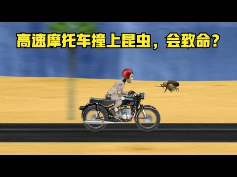 《流言终结者》197：只要速度足够快，摩托车撞上昆虫也会致命？