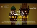 Bilal Darbali بلال دربالي Surah Al Baqarah 185 202 سوره البقره 