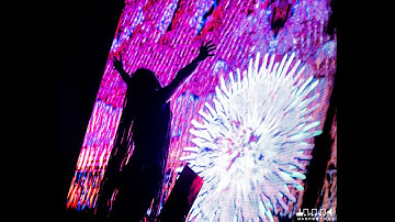 Zebbler | MAGFest 2020