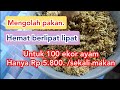 Cara mengolah pakan ayam kampung dari bahan seadanya menjadi pakan berkualitas tinggi  ternak ayam