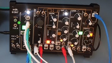 Make Noise 0-Coast Solo Techniques