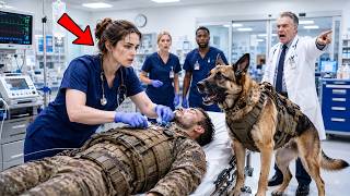 They Fired the Nurse for Saving a SEAL—Then His K9 Revealed Who She Really Was