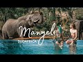 Manyeleti Greater Kruger: il viaggio più INCREDIBILE di sempre! 🐘 Sudafrica