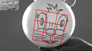 Visual tracking of rigid and deformable objects