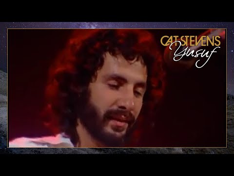 Video Fill My Eyes