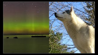 WE CAUGHT THE NORTHERN LIGHTS | #PureMichigan