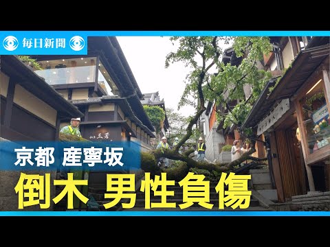 京都・産寧坂で木が倒れ男性1人下敷き