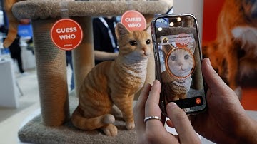 Petnow Unveils the World