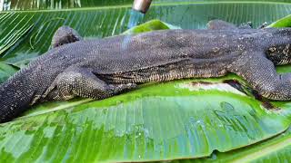XTREME FOOD INDONESIA - MONITOR LIZARDS ARE TREATED LIKE THIS / BIAWAK ENAKAN DI OLAH SEPERTI INI