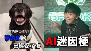 【那些AI的迷因梗】又氣又好笑，為什麼要花那麽多的算力用在這些廢片上面啊！