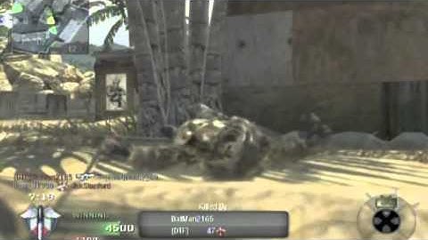 Black Ops: Firing Range quickscope