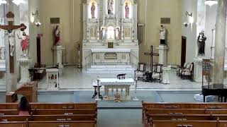 August 10, 2026 - Monday - Noon Mass at St. Brigid