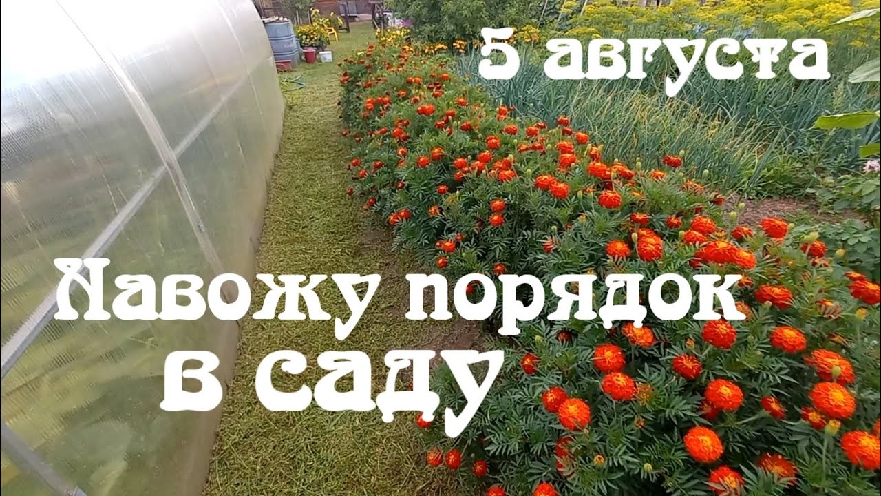 Малинка дзен читать