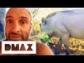 An Obsession With “Bacon” Puts Ed’s Survival At Risk | Marooned With Ed Stafford