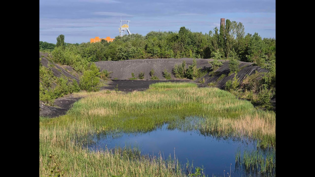 Hałdy Michałkowickie