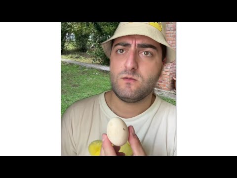 Omariko/ომარიკო