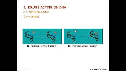 Nucleic Acid As Drug Design