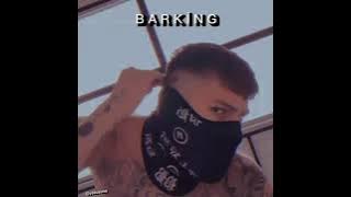 ramz - BarKing ( s l o w e d     r e v e r b )