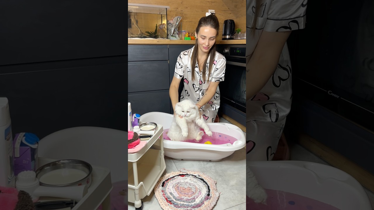 🛁 Cat Spa Day | ASMR Relaxing Bath for My Cat 