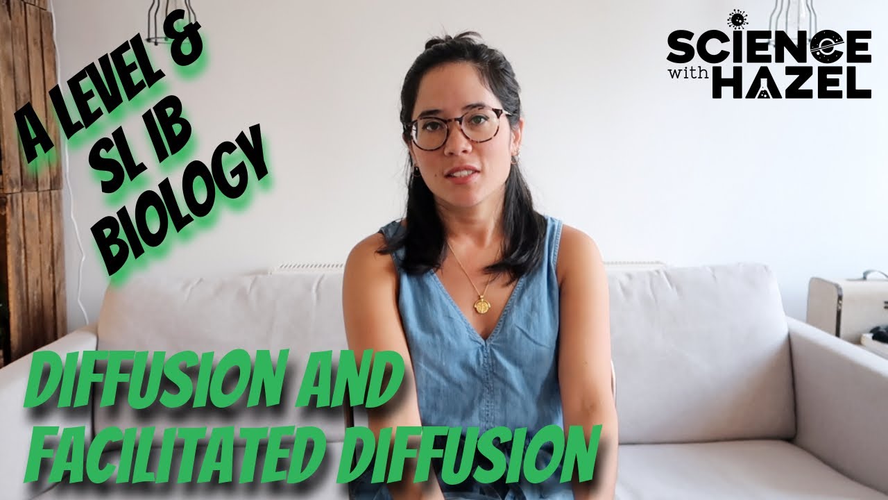 Facilitated Diffusion A Level Biology Facilitated Diffusion A Level Biology