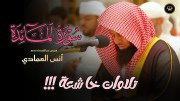 فجريّة شجية تلاوة رائعة للشيخ أنس العمادي | فجر 16-4-1447 هـ