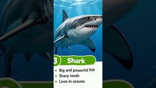 “Kids Fish Learning 🐟 | 4 Amazing Fish Name @Tamilkidsplaylearn #viral #fish #kids