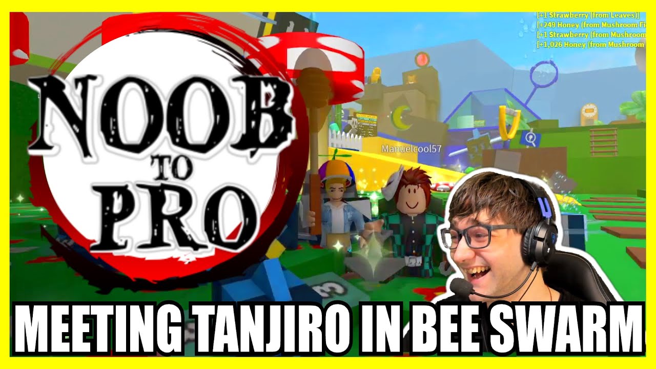 UPDATED Beginner's Guide (With Timestamps)  ROBLOX Bee Swarm Simulator  Noob to Pro 2023 Guide 