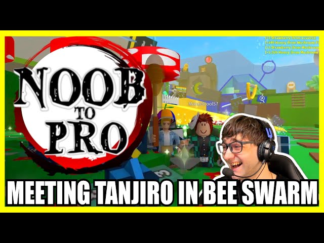 UPDATED Beginner's Guide (With Timestamps)  ROBLOX Bee Swarm Simulator  Noob to Pro 2023 Guide 