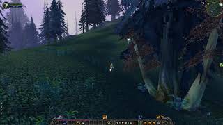 Totem of Coo, WoW TBC Quest
