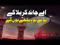 Ay chand karbala k  wali moqdesi 