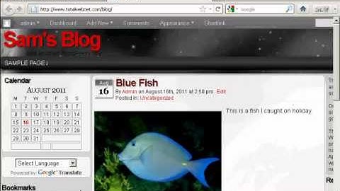 Video 14 - How to Use WordPress Widgets in The Sidebar.